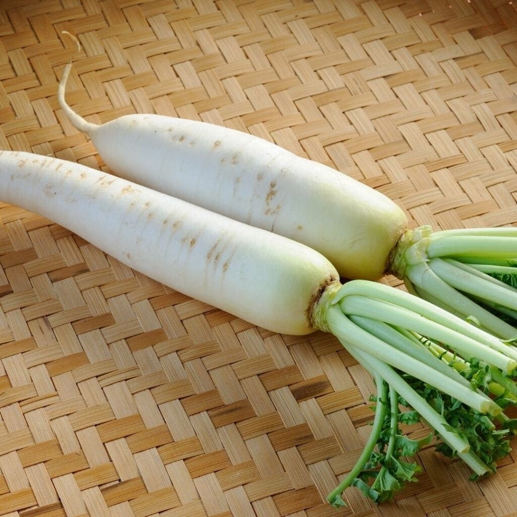 Daikon Radish
